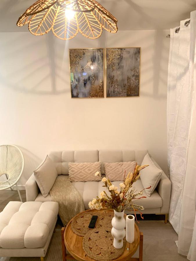 Le Bali Cosy House - T2 Lumineux Et Moderne En Plein Centre Ville De Мезонз-Альфор Екстер'єр фото