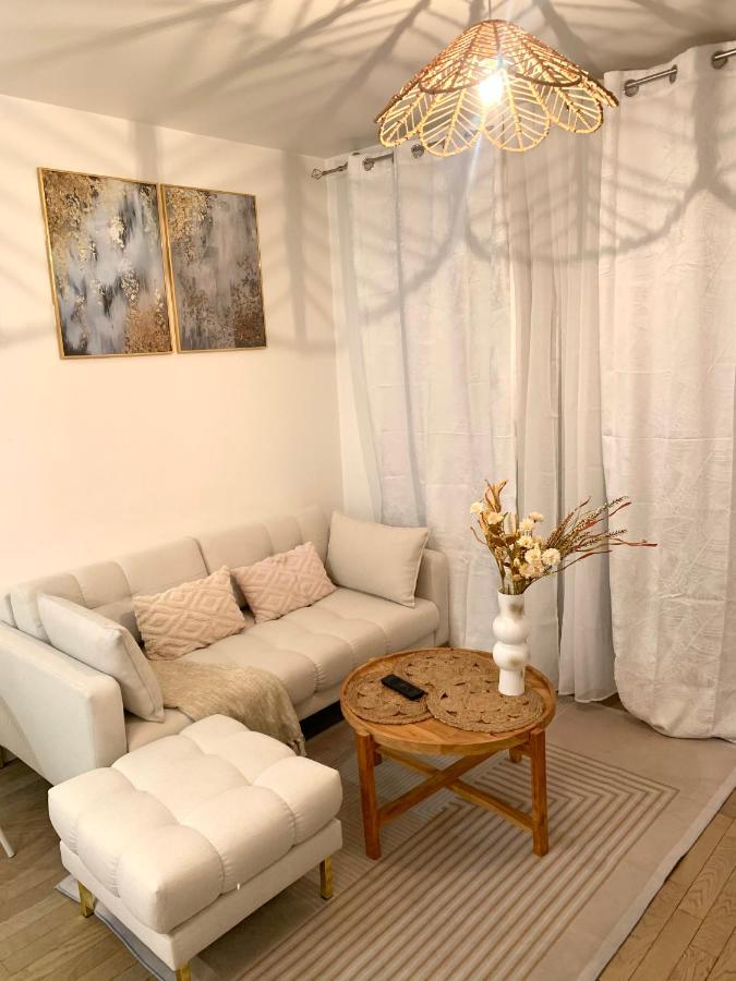 Le Bali Cosy House - T2 Lumineux Et Moderne En Plein Centre Ville De Мезонз-Альфор Екстер'єр фото